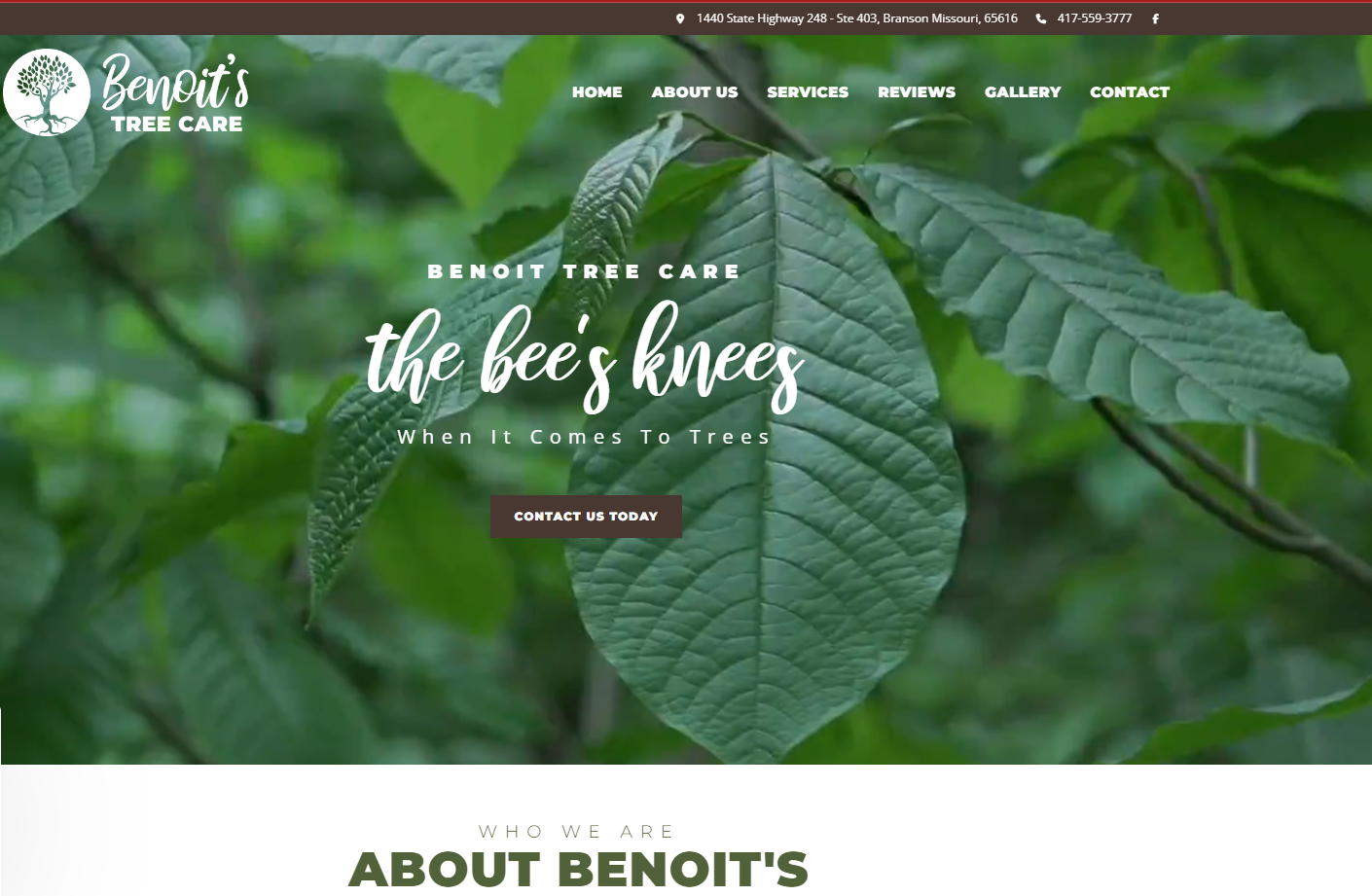 benoit tree care1