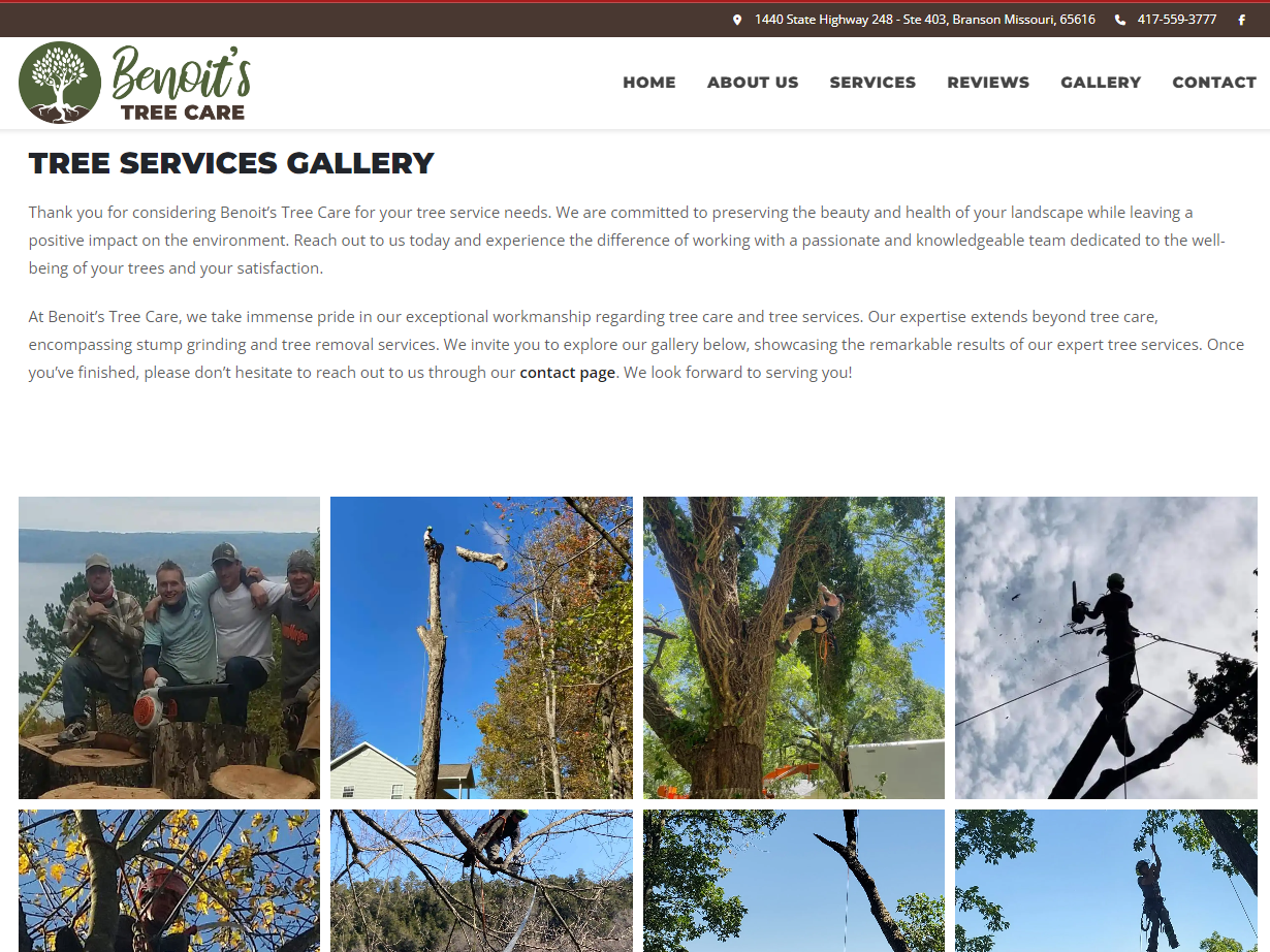 benoit tree care2